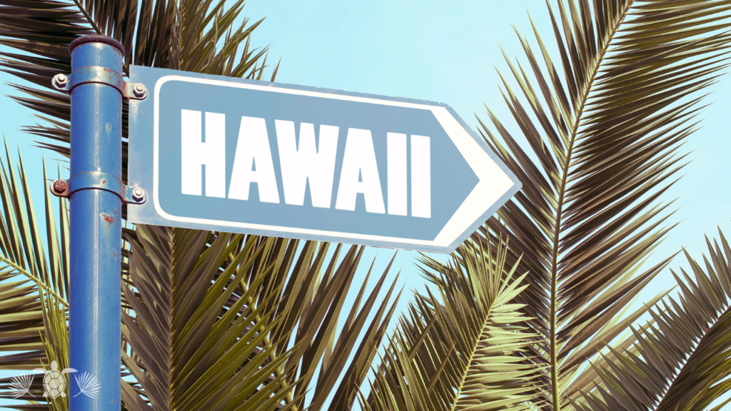 Hawaii Signage in from of palm trees