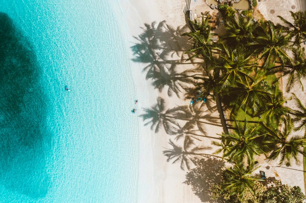 aerial of sandy beach in hawaii