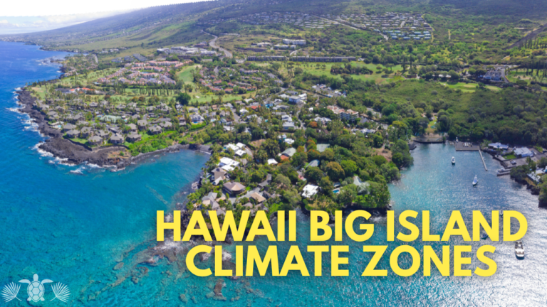 Hawaii Big Island Climate Zones: Aerial Shot of an Area in Big Island
